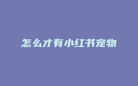 怎么才有小红书宠物