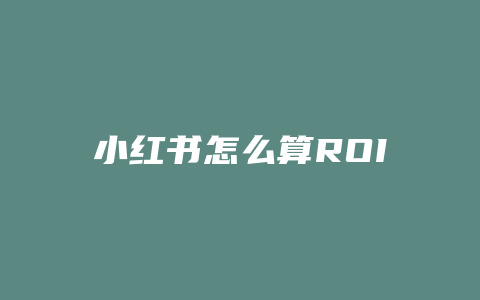 小红书怎么算ROI