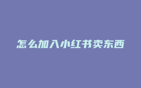 怎么加入小红书卖东西