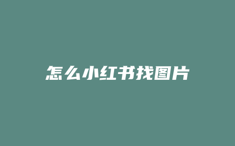 怎么小红书找图片
