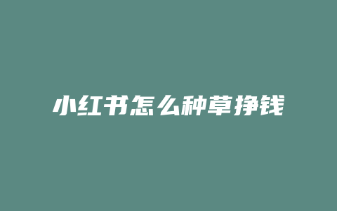 小红书怎么种草挣钱