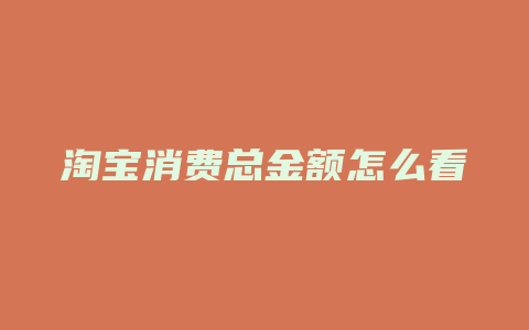 淘宝消费总金额怎么看