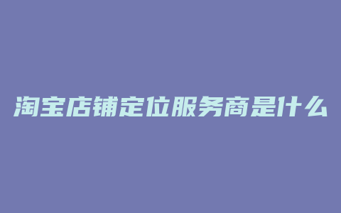 淘宝店铺定位服务商是什么