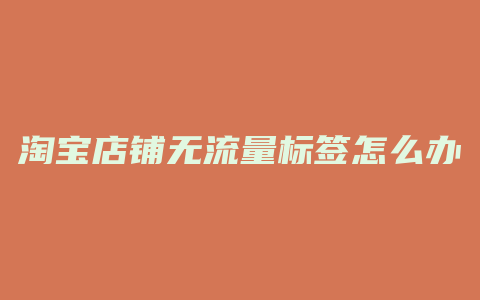 淘宝店铺无流量标签怎么办