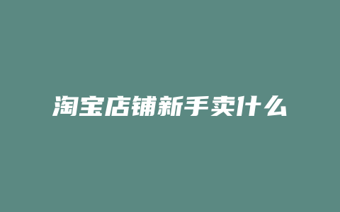 淘宝店铺新手卖什么