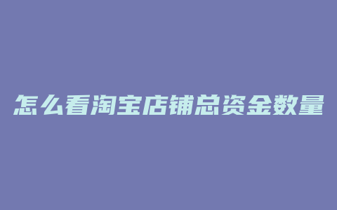 怎么看淘宝店铺总资金数量