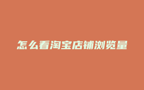 怎么看淘宝店铺浏览量