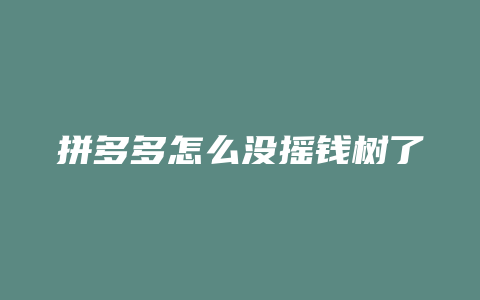 拼多多怎么没摇钱树了