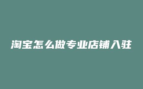 淘宝怎么做专业店铺入驻