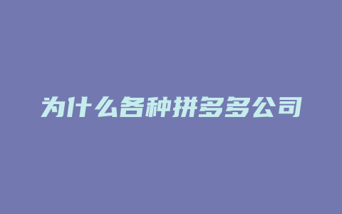 为什么各种拼多多公司