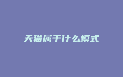 天猫属于什么模式
