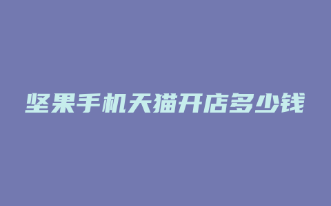 坚果手机天猫开店多少钱