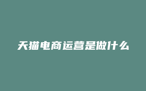 天猫电商运营是做什么
