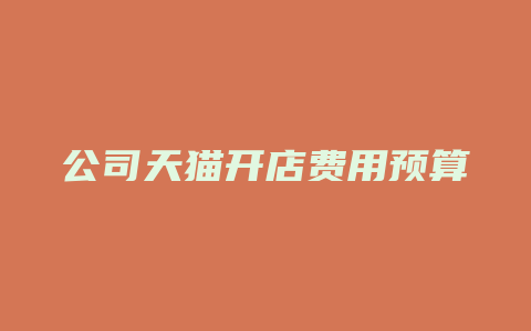 公司天猫开店费用预算
