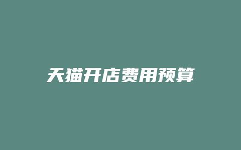 天猫开店费用预算