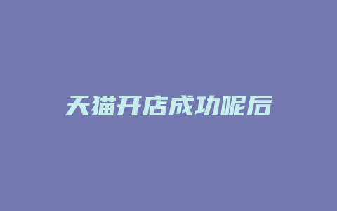天猫开店成功呢后
