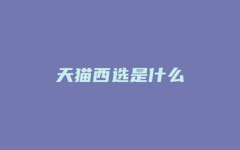 天猫西选是什么
