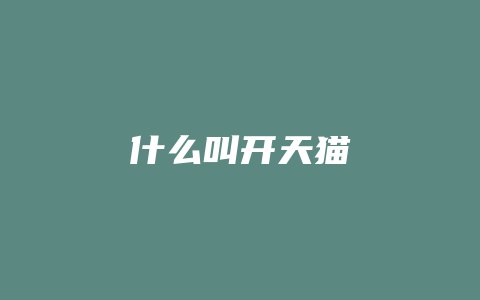 什么叫开天猫