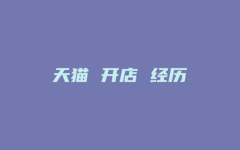 天猫 开店 经历