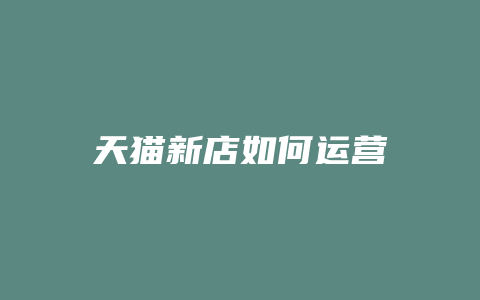 天猫新店如何运营
