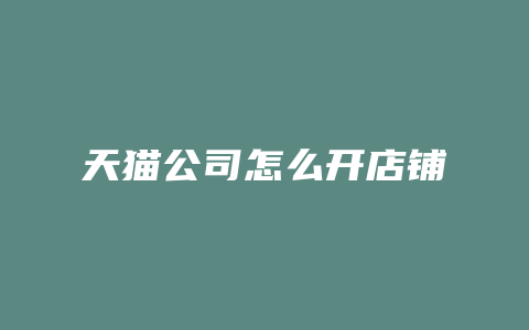 天猫公司怎么开店铺