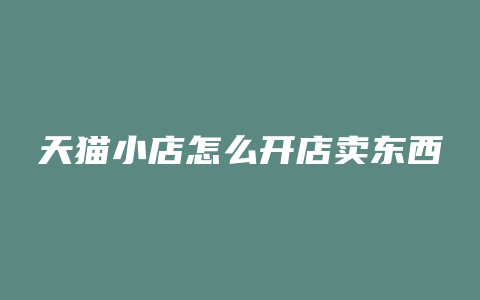 天猫小店怎么开店卖东西